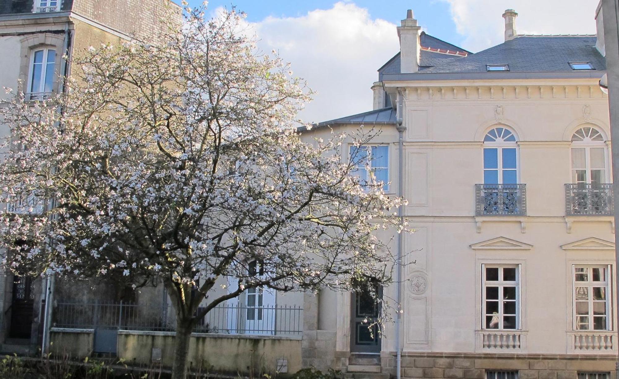 Une Suite A Vannes Exteriér fotografie
